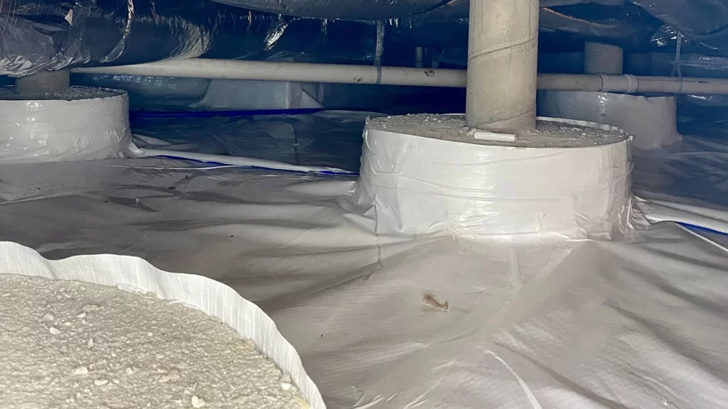 Crawlspace Moisture